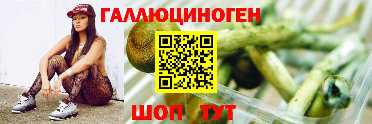 Галлюциногенные грибы GOLDEN TEACHER  Галлюциногенные грибы Psilocybine cubensis  Вход с VPN  Михайловск 